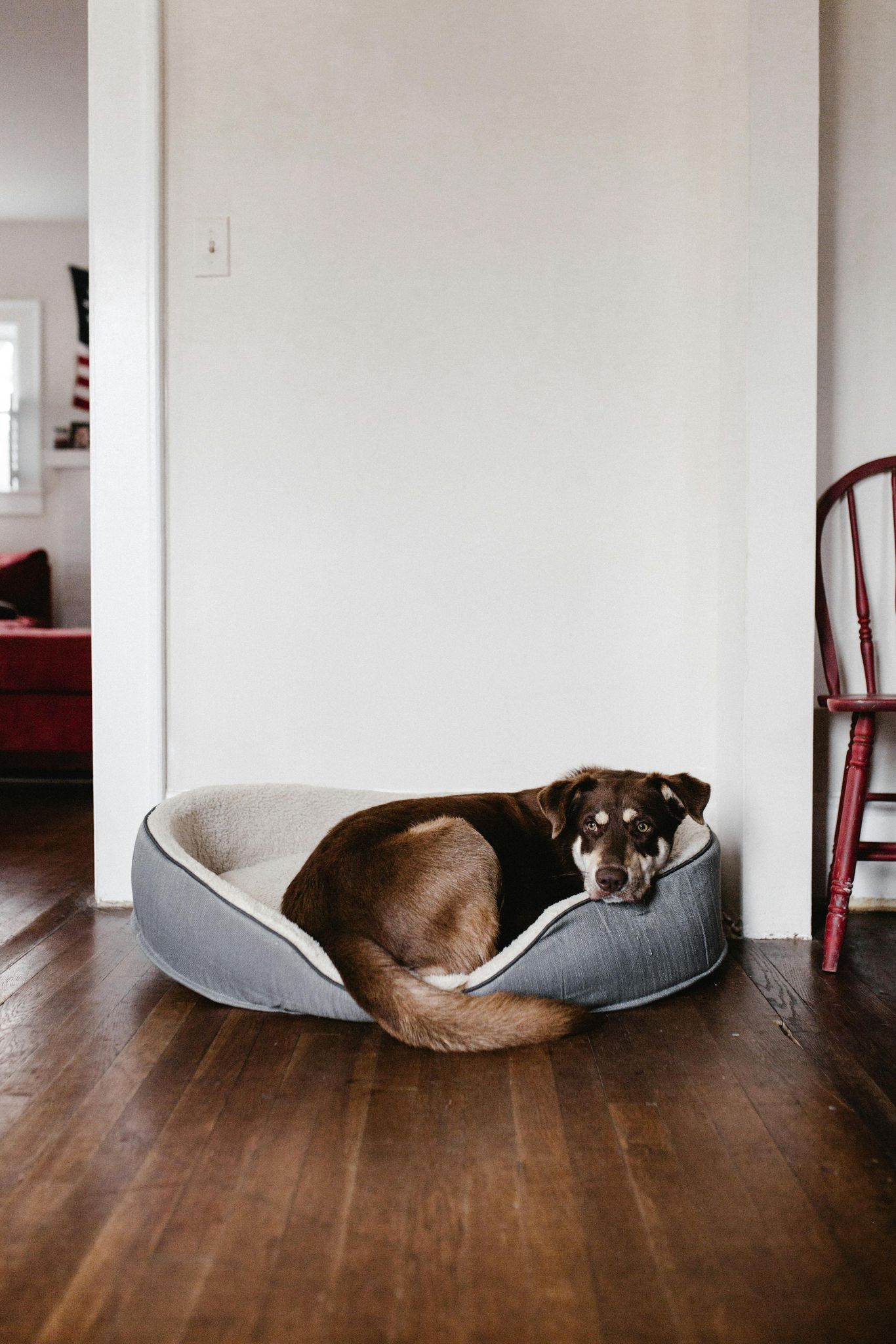 Bed - Homes