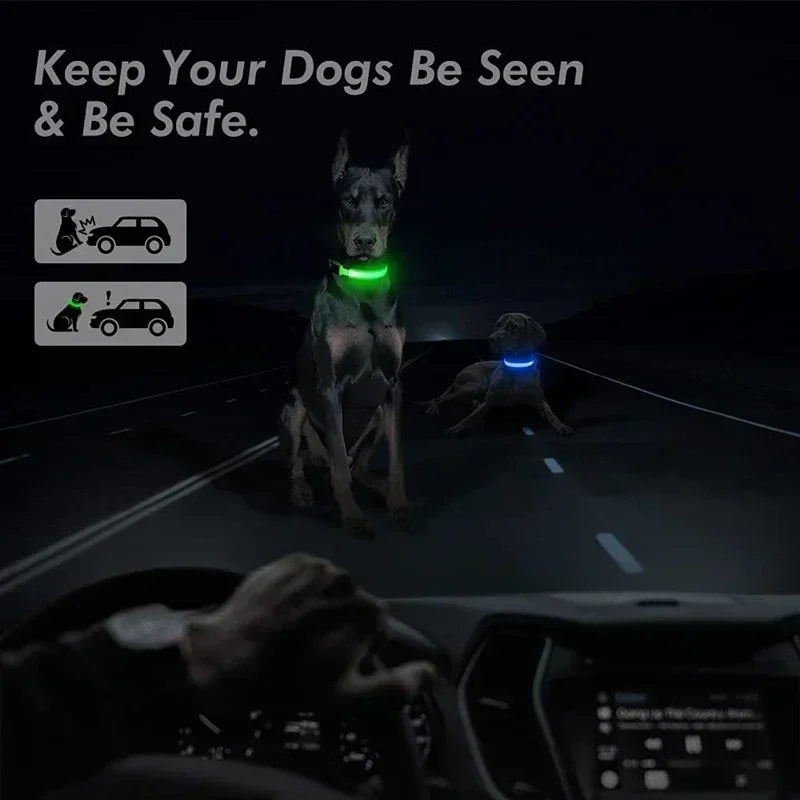 Rechargeable LED Dog Collar – Adjustable Glowing Light-Up Pet Collar for Night Safety & Anti-Lost Protection