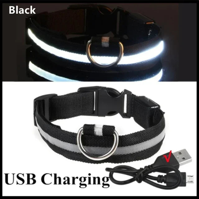Rechargeable LED Dog Collar – Adjustable Glowing Light-Up Pet Collar for Night Safety & Anti-Lost Protection