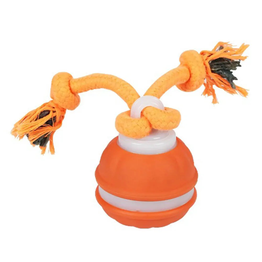 Interactive Dog Toy Ball with Rope Electronic Motion Activated Rolling Ball for Indoor Cat Dog Play Toys for Puppy Training Ball