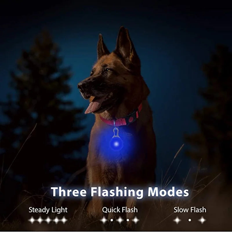 Rechargeable LED Dog Collar Pendant – USB Luminous Pet Light for Night Safety and Decoration