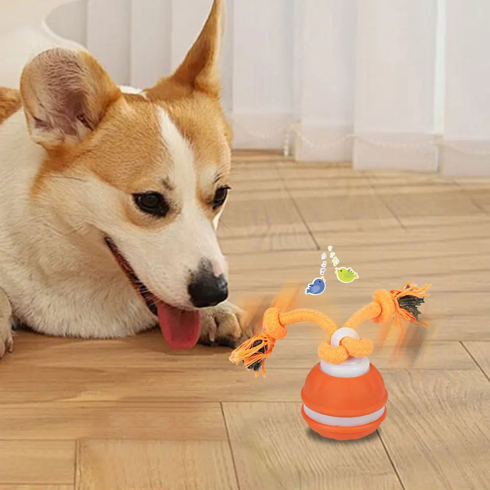 Interactive Dog Toy Ball with Rope Electronic Motion Activated Rolling Ball for Indoor Cat Dog Play Toys for Puppy Training Ball