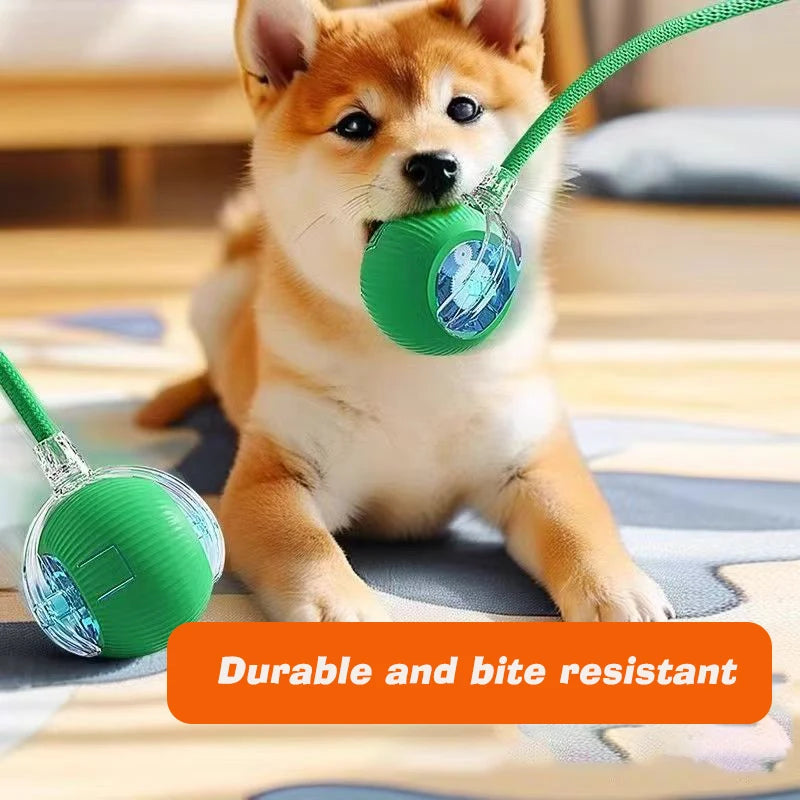 New Dog Interactive Ball Toy,Automatic Rolling Dog Ball Rechargeable,Smart Puppy Interactive Toy,Intelligent Balls Toy for Dogs