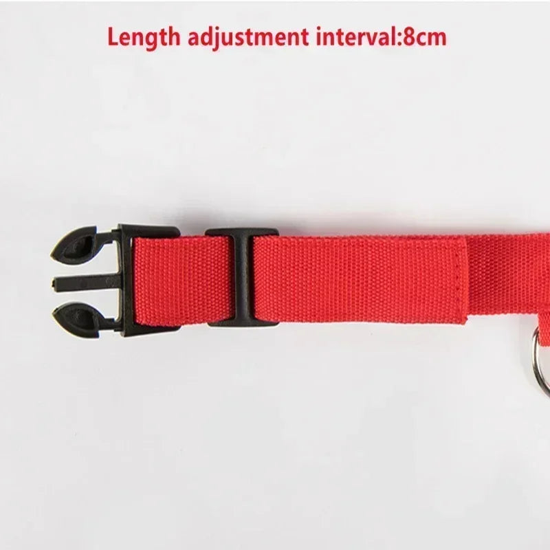 Rechargeable LED Dog Collar – Adjustable Glowing Light-Up Pet Collar for Night Safety & Anti-Lost Protection