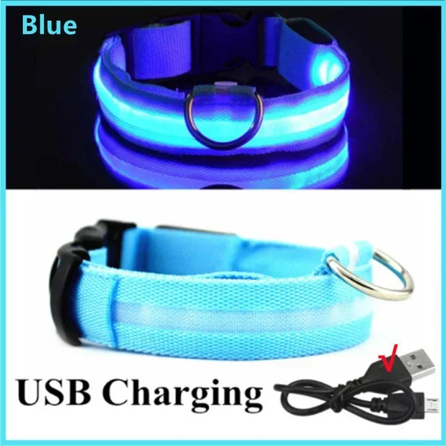 Rechargeable LED Dog Collar – Adjustable Glowing Light-Up Pet Collar for Night Safety & Anti-Lost Protection