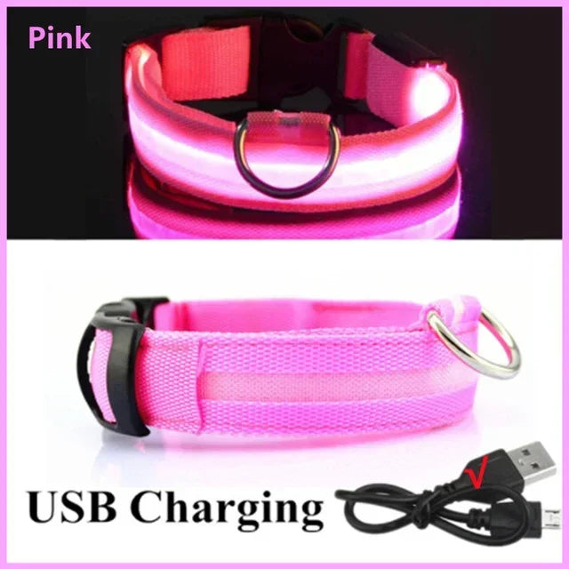 Rechargeable LED Dog Collar – Adjustable Glowing Light-Up Pet Collar for Night Safety & Anti-Lost Protection