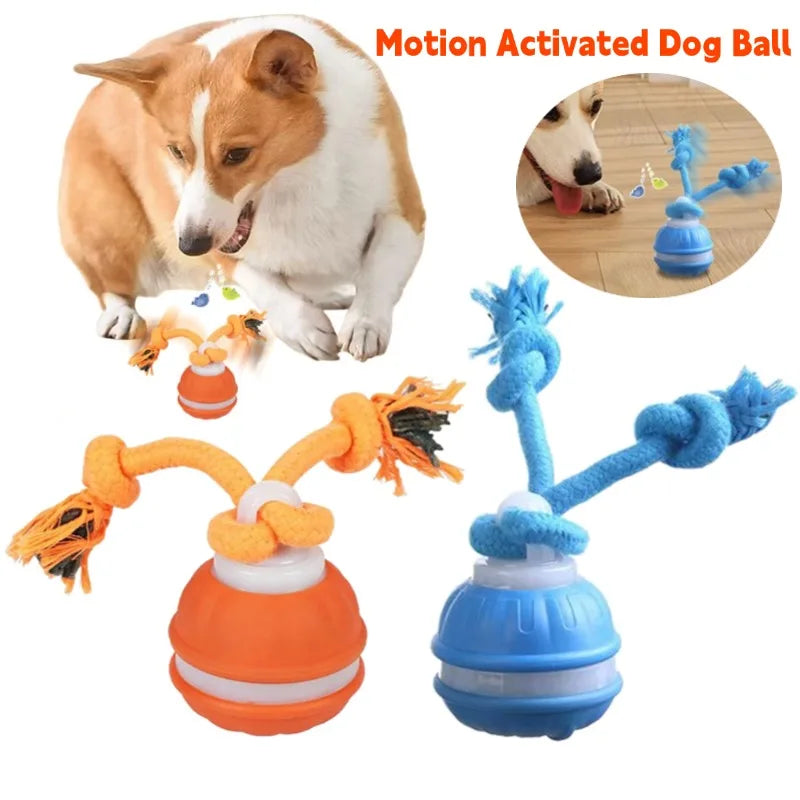 Interactive Dog Toy Ball with Rope Electronic Motion Activated Rolling Ball for Indoor Cat Dog Play Toys for Puppy Training Ball