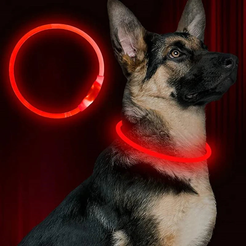 LED USB Rechargeable Dog Collar – Luminous Night Safety Collar with Flashing Glow for Pets, Anti-Loss Accessory