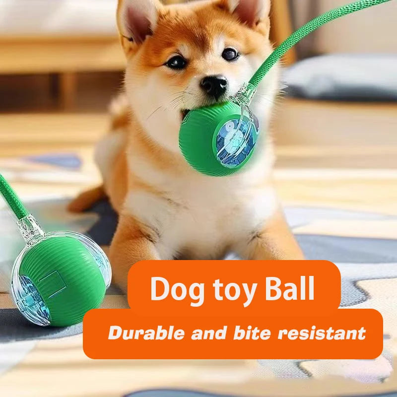 New Dog Interactive Ball Toy,Automatic Rolling Dog Ball Rechargeable,Smart Puppy Interactive Toy,Intelligent Balls Toy for Dogs