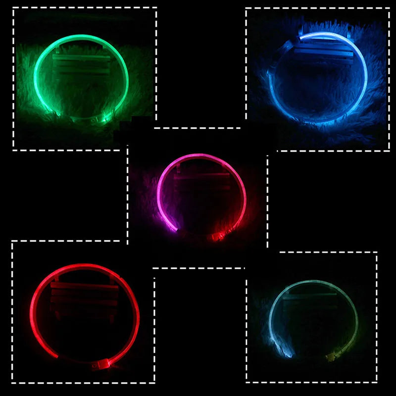 LED USB Rechargeable Dog Collar – Luminous Night Safety Collar with Flashing Glow for Pets, Anti-Loss Accessory