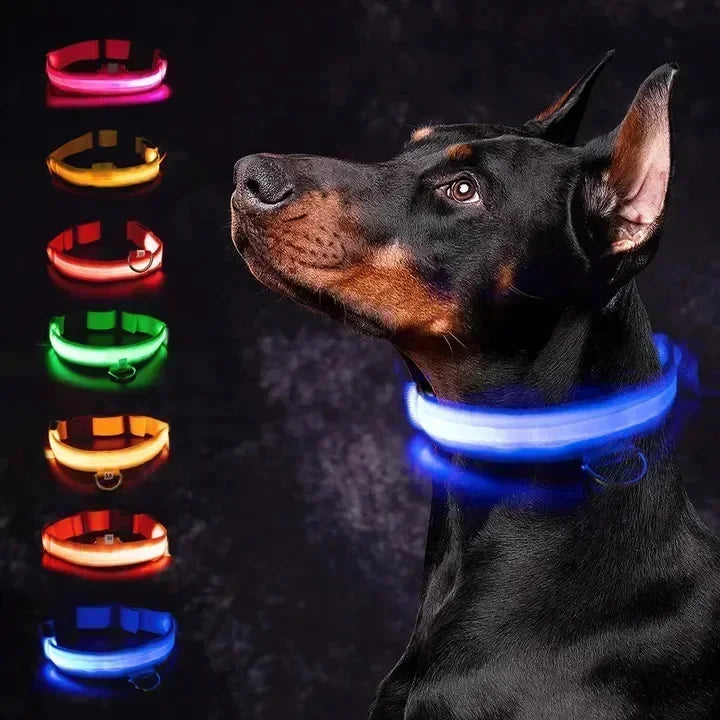 Rechargeable LED Dog Collar – Adjustable Glowing Light-Up Pet Collar for Night Safety & Anti-Lost Protection