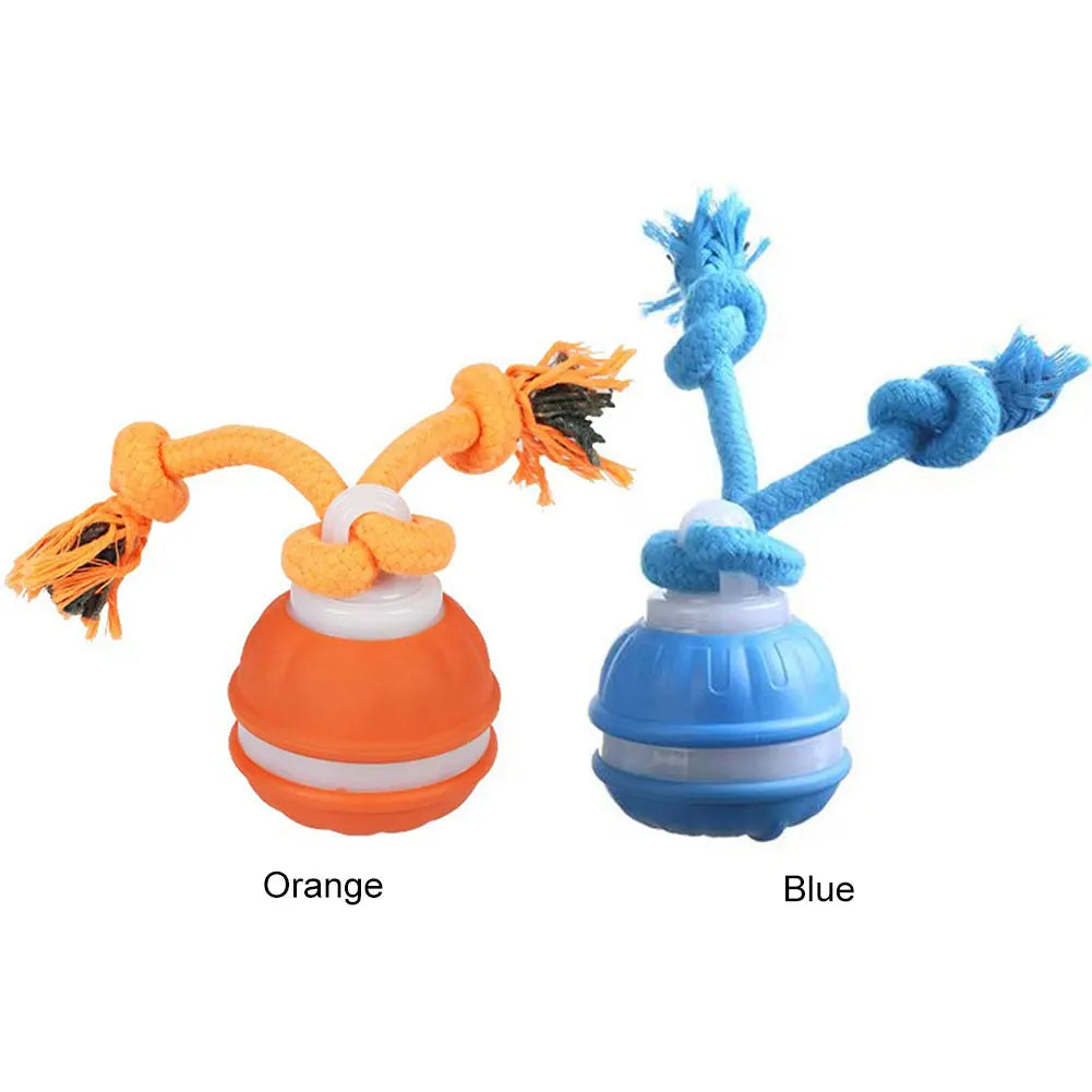 Interactive Dog Toy Ball with Rope Electronic Motion Activated Rolling Ball for Indoor Cat Dog Play Toys for Puppy Training Ball