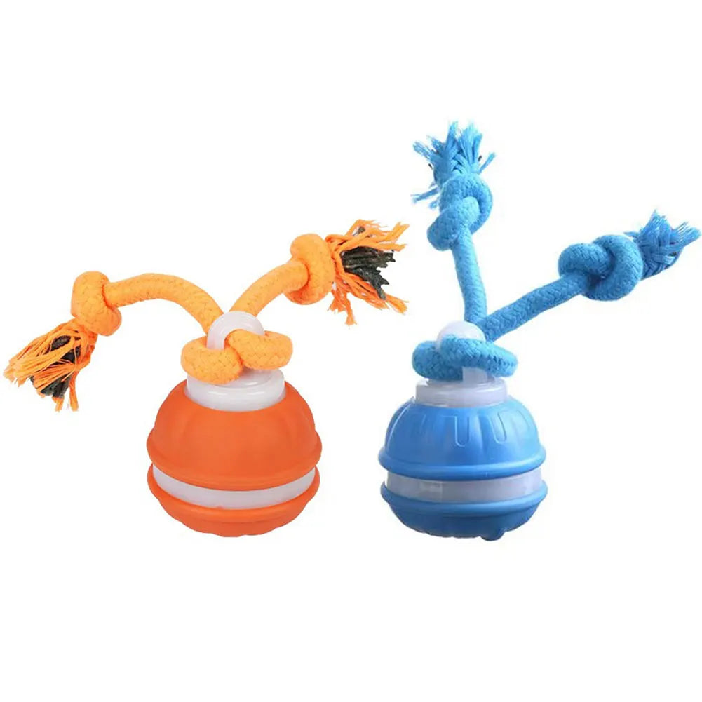 Interactive Dog Toy Ball with Rope Electronic Motion Activated Rolling Ball for Indoor Cat Dog Play Toys for Puppy Training Ball