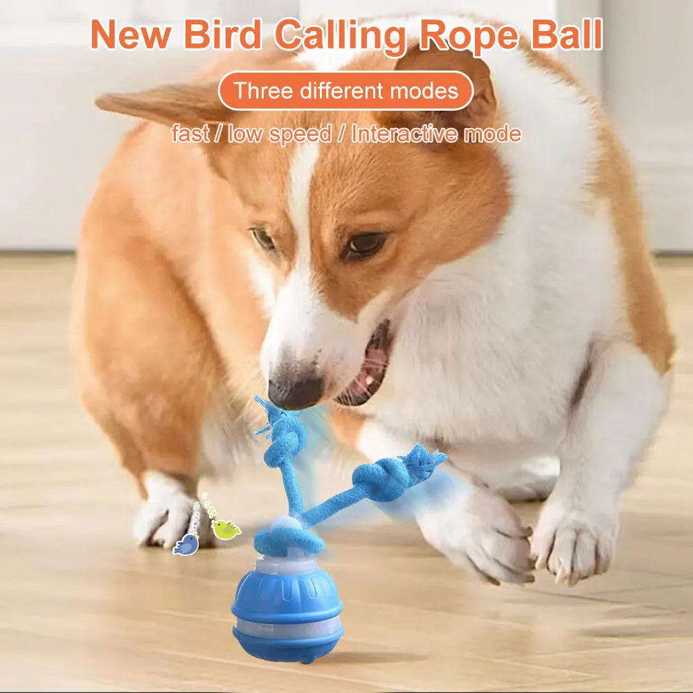 Interactive Dog Toy Ball with Rope Electronic Motion Activated Rolling Ball for Indoor Cat Dog Play Toys for Puppy Training Ball