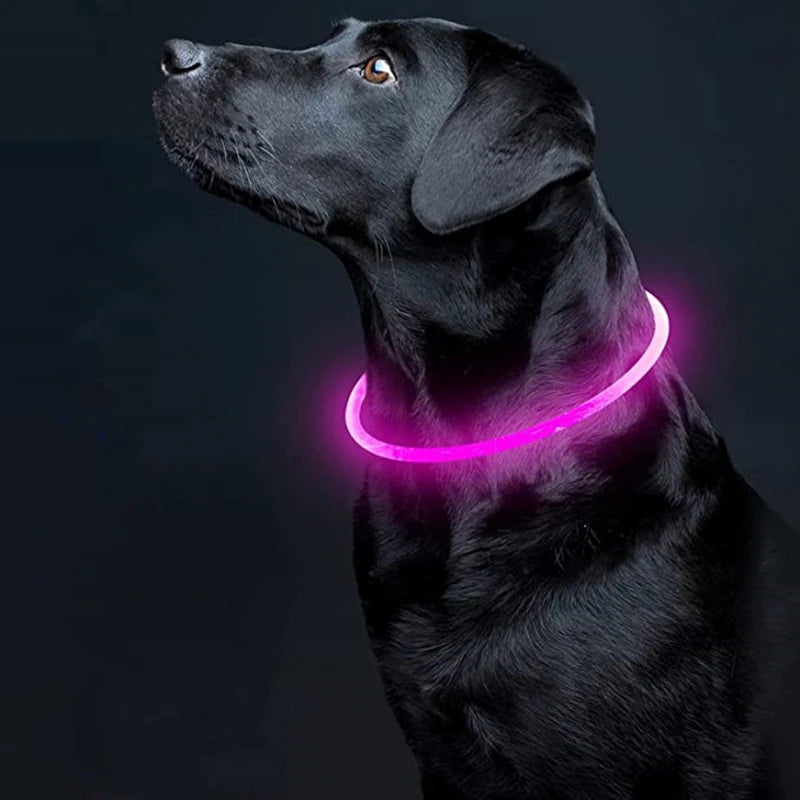 LED USB Rechargeable Dog Collar – Luminous Night Safety Collar with Flashing Glow for Pets, Anti-Loss Accessory
