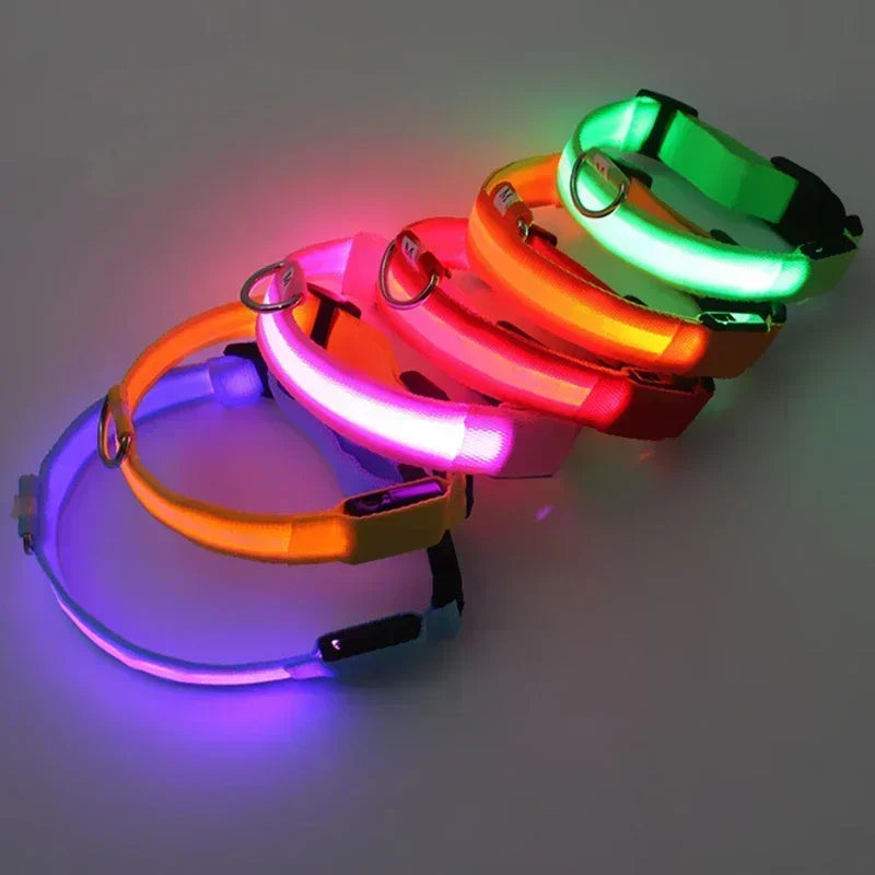 Rechargeable LED Dog Collar – Adjustable Glowing Light-Up Pet Collar for Night Safety & Anti-Lost Protection