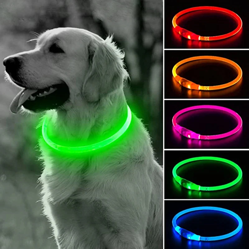 LED USB Rechargeable Dog Collar – Luminous Night Safety Collar with Flashing Glow for Pets, Anti-Loss Accessory