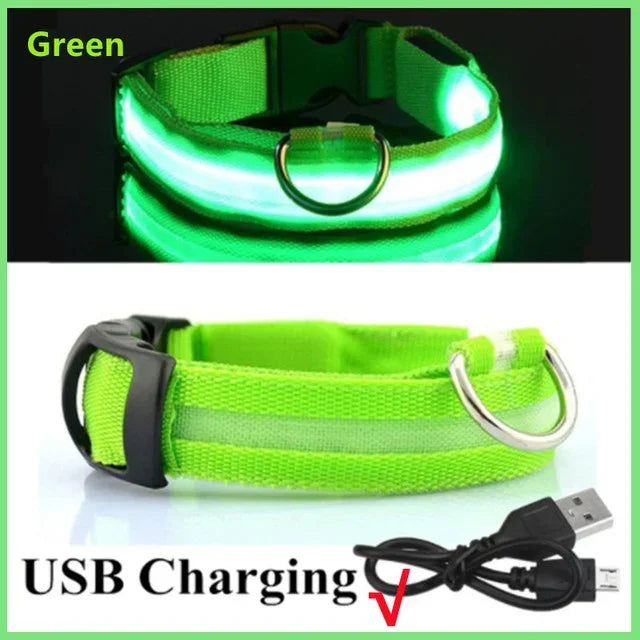 Rechargeable LED Dog Collar – Adjustable Glowing Light-Up Pet Collar for Night Safety & Anti-Lost Protection