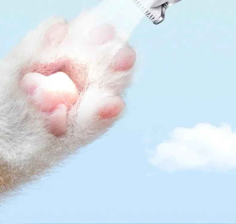 Professional Dog Grooming Clippers & LED Light LCD Display 18mm Wide Blade for Paw Trimming Low Noise Cordless Pet Hair Trimmer