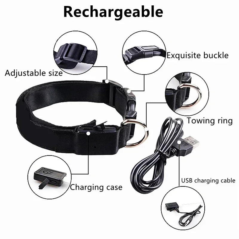 Rechargeable LED Dog Collar – Adjustable Glowing Light-Up Pet Collar for Night Safety & Anti-Lost Protection