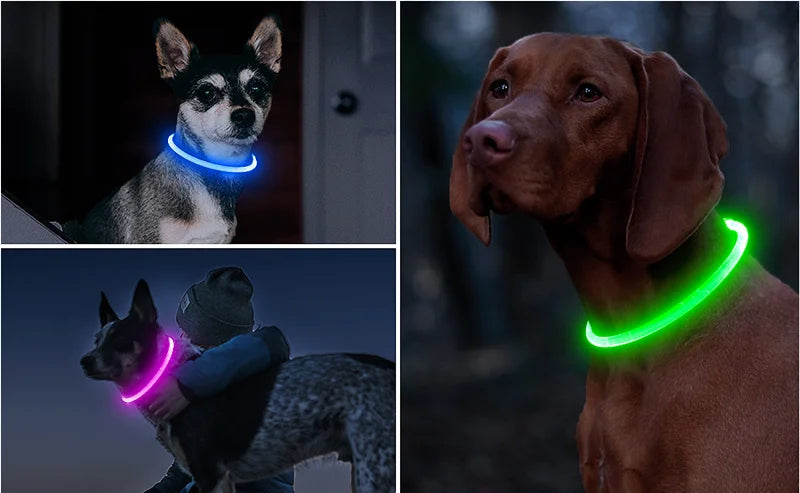 LED USB Rechargeable Dog Collar – Luminous Night Safety Collar with Flashing Glow for Pets, Anti-Loss Accessory