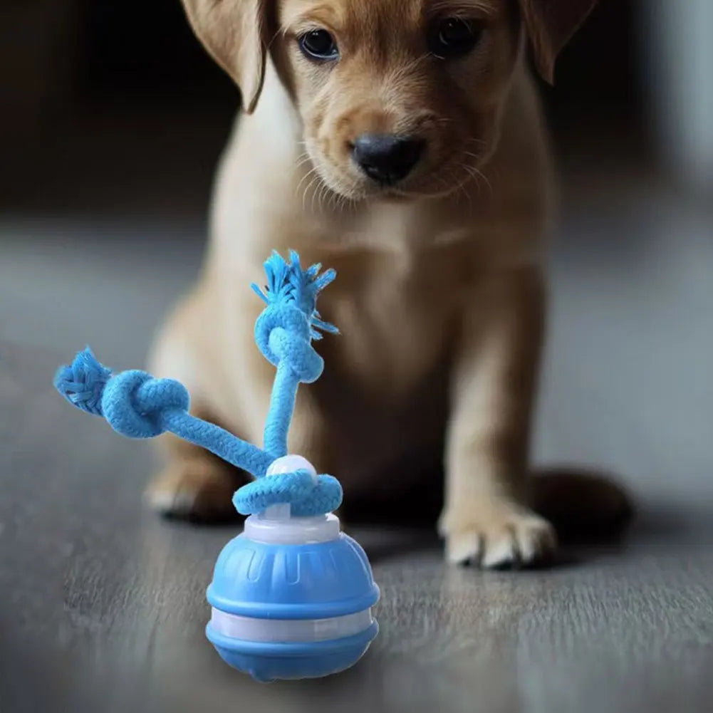 Interactive Dog Toy Ball with Rope Electronic Motion Activated Rolling Ball for Indoor Cat Dog Play Toys for Puppy Training Ball