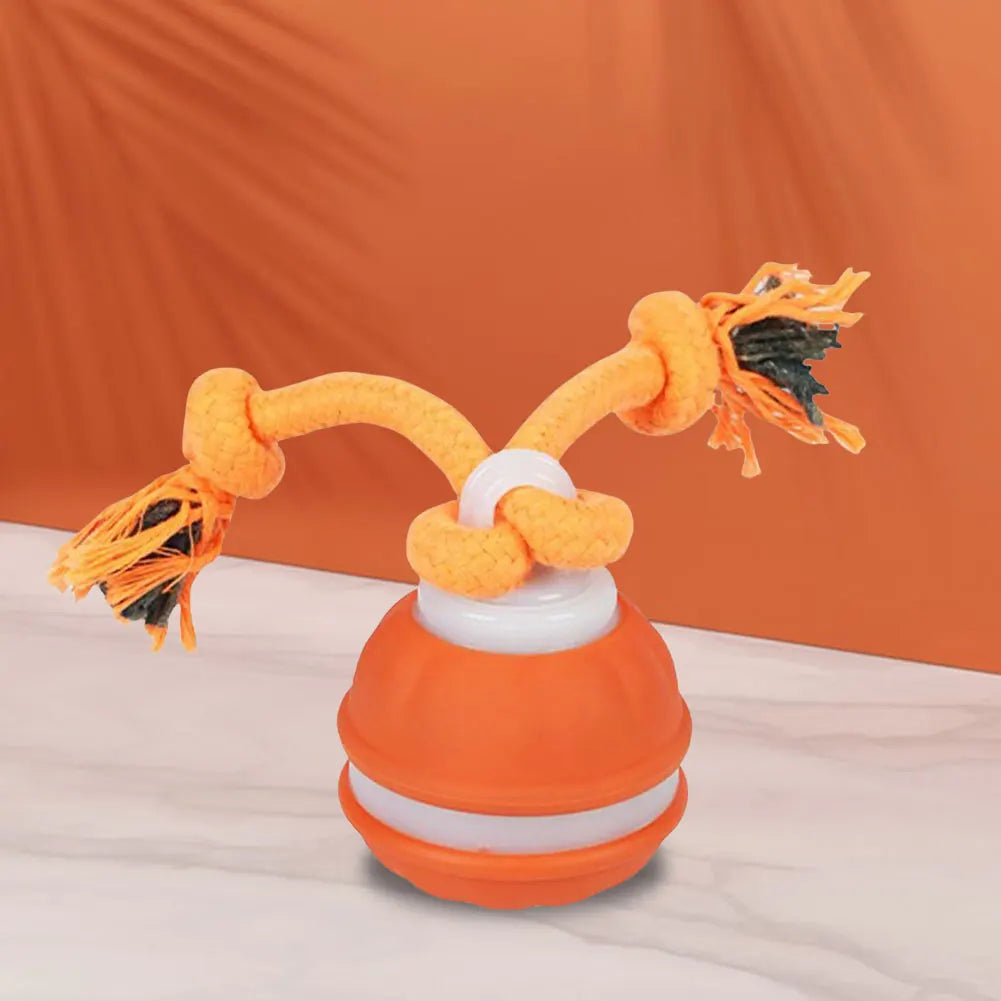 Interactive Dog Toy Ball with Rope Electronic Motion Activated Rolling Ball for Indoor Cat Dog Play Toys for Puppy Training Ball