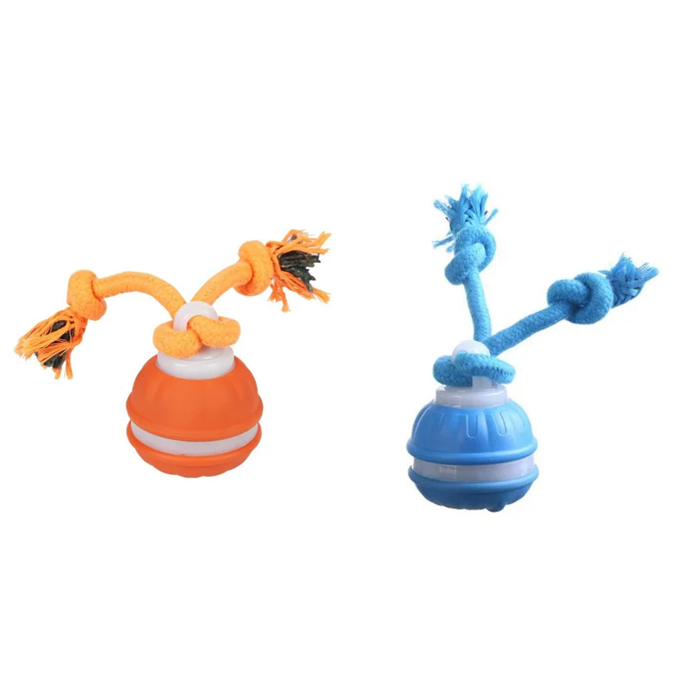 Interactive Dog Toy Ball with Rope Electronic Motion Activated Rolling Ball for Indoor Cat Dog Play Toys for Puppy Training Ball