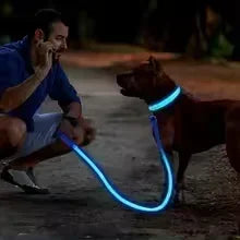 Rechargeable LED Dog Collar – Adjustable Glowing Light-Up Pet Collar for Night Safety & Anti-Lost Protection