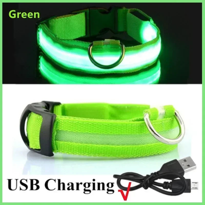 Rechargeable LED Dog Collar – Adjustable Glowing Light-Up Pet Collar for Night Safety & Anti-Lost Protection