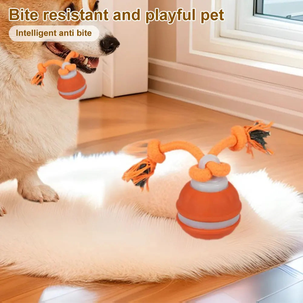 Interactive Dog Toy Ball with Rope Electronic Motion Activated Rolling Ball for Indoor Cat Dog Play Toys for Puppy Training Ball